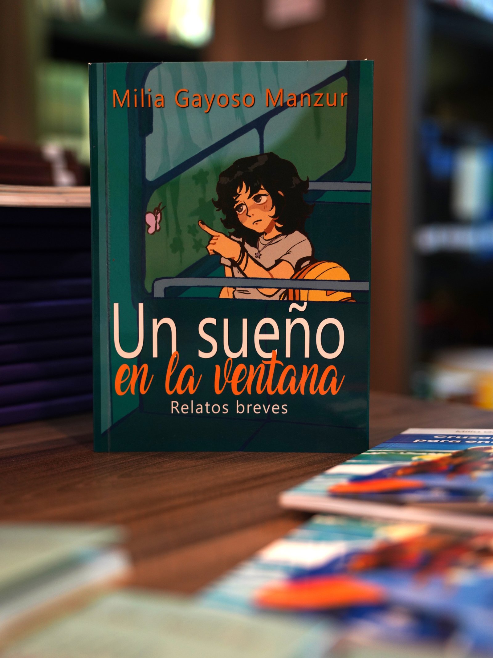 Portada de Un Sueño en la Ventana